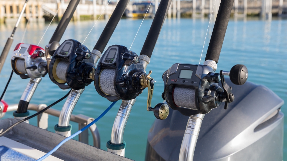 Our Vessel • Rodfather Fishing Charters, Kaikoura, New Zealand